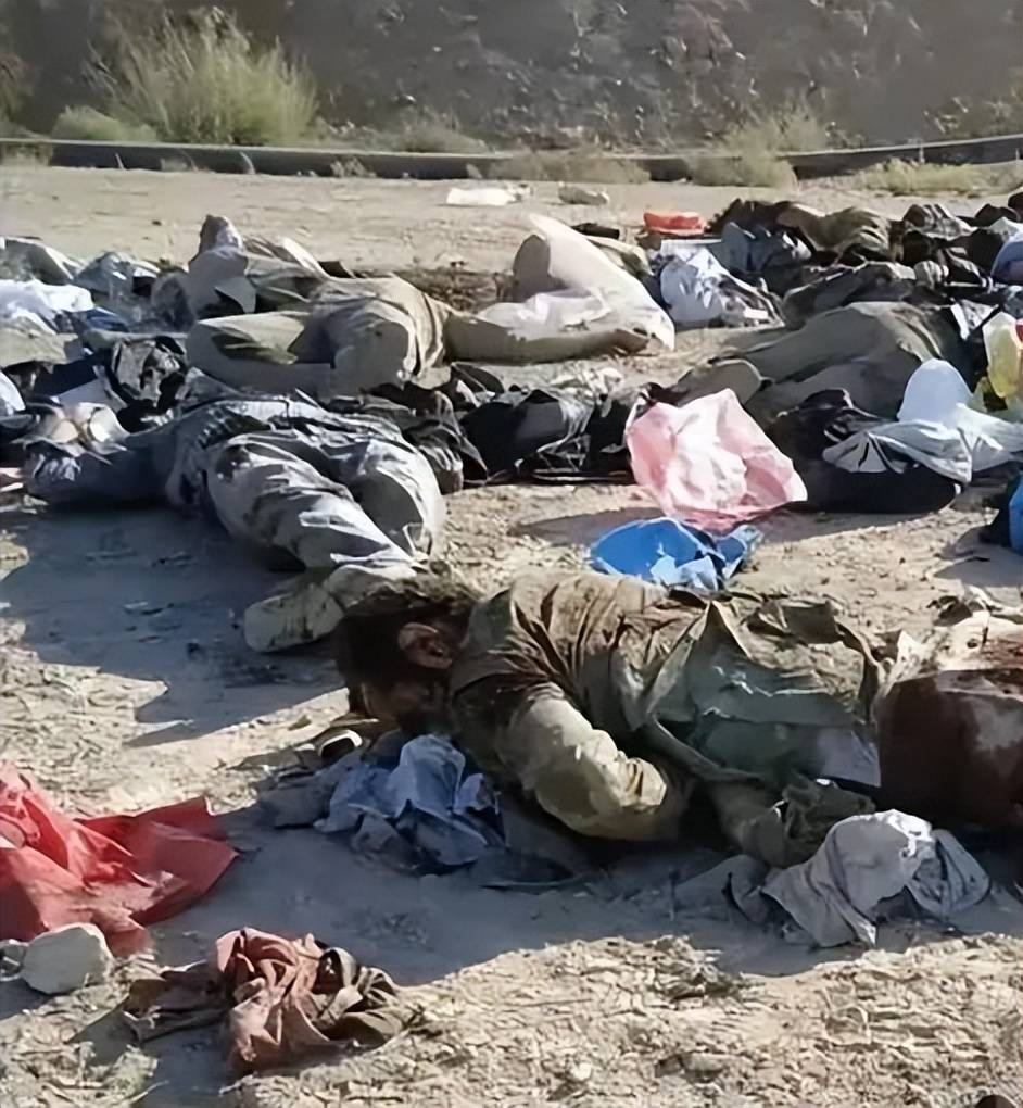 从关键时刻辽宁本钢备战欧冠到休斯敦火箭赛后再遭质疑，费德勒在巴塞罗那比赛中出色防守的简单介绍